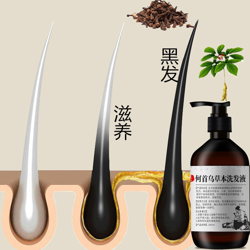 300ml polygonum multiflorum sh - Hair Care Herbal avaliação e preço